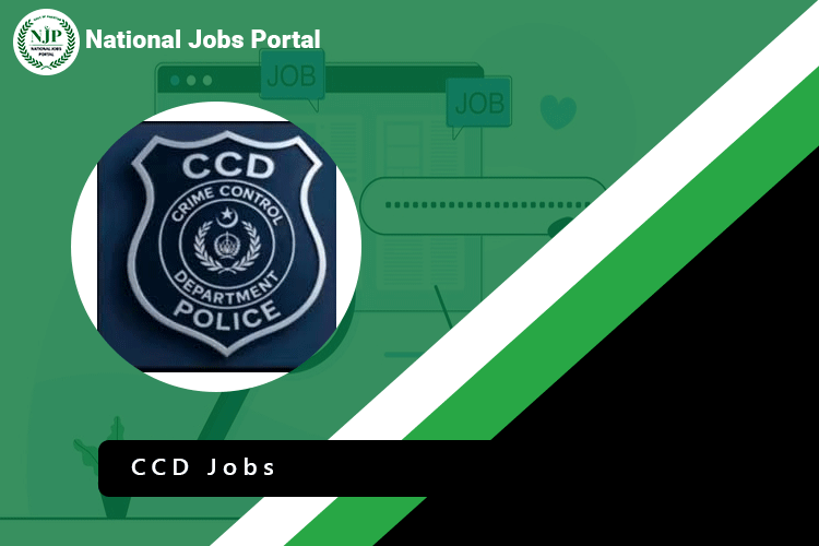 CCD Jobs